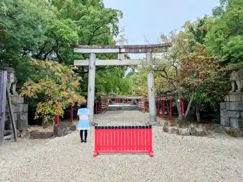 市原稲荷神社の鳥居