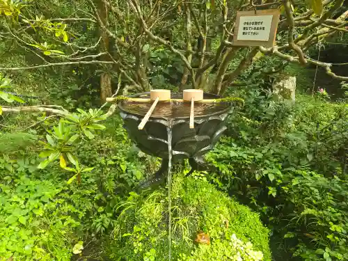 志明院（金光峯寺）(京都府)