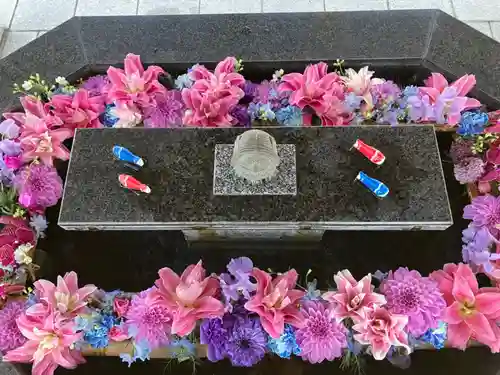 新琴似神社の手水舎