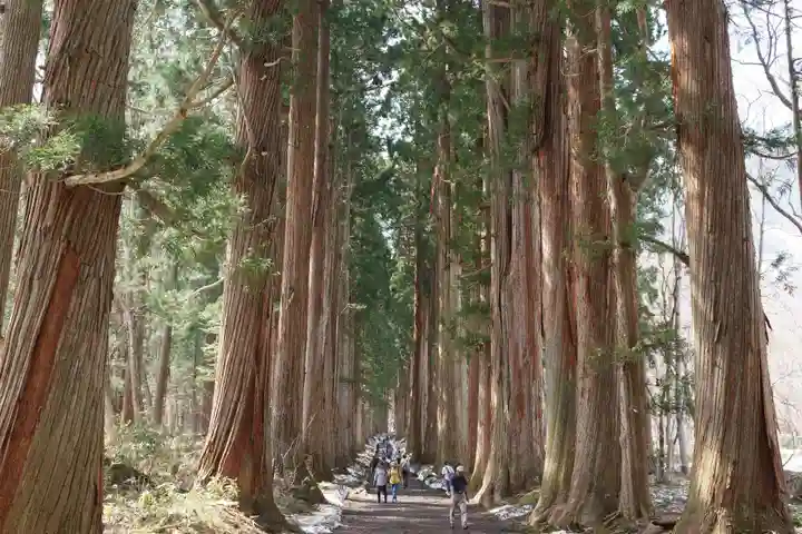 戸隠神社奥社(長野県)