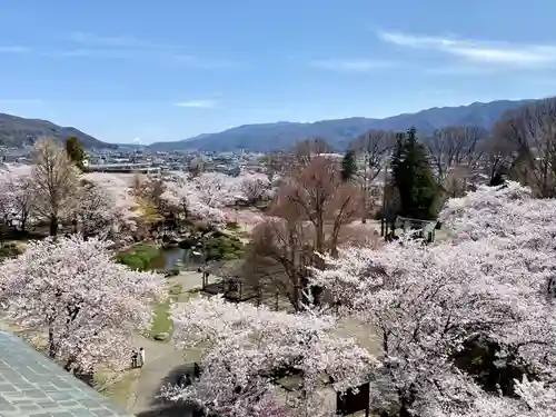 諏訪護国神社の景色