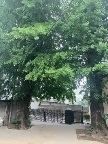 延命院(東京都)