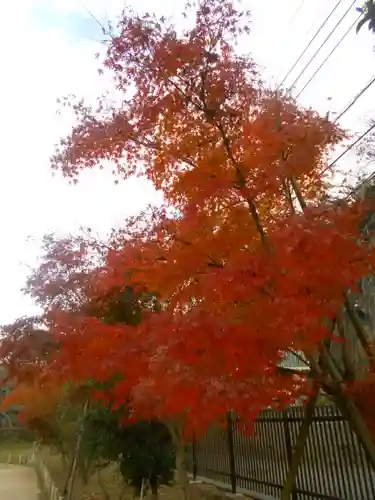 永福寺跡（永福寺址）の自然
