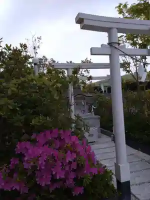 アミュプラザくまもと加藤神社の自然