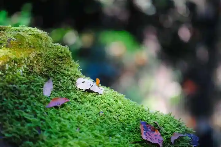 浄土寺(兵庫県)