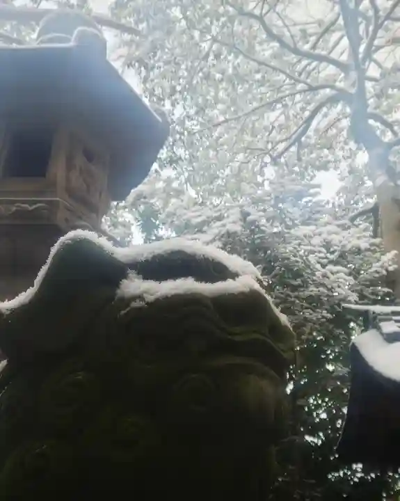 尾張大國霊神社(国府宮)の狛犬