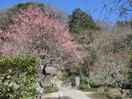 妙本寺の景色