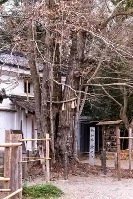 梨木神社(京都府)