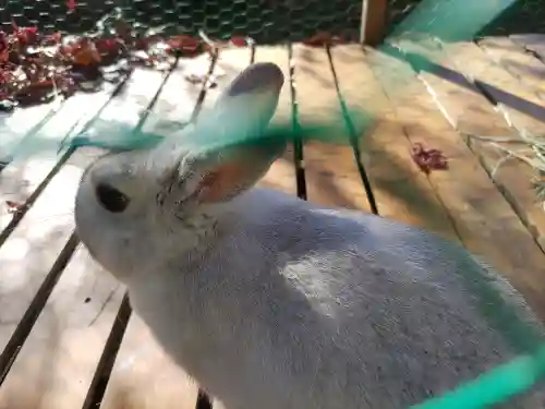 高山神社(群馬県)