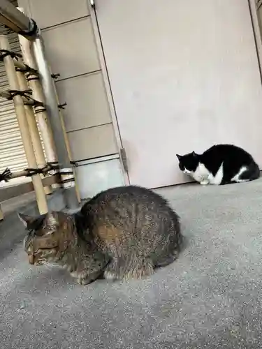 白金氷川神社(東京都)