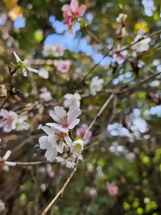 伊佐須美神社(福島県)