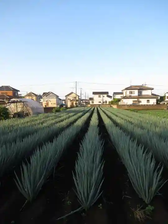 尾崎天神宮(千葉県)