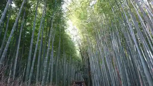 常寂光寺(京都府)