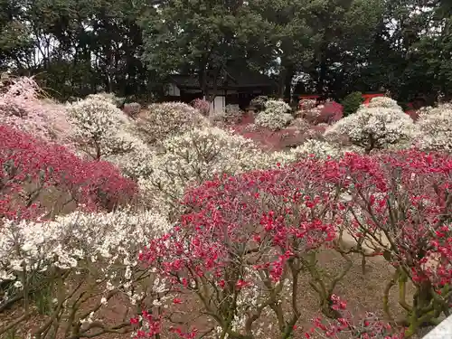 道明寺天満宮の庭園