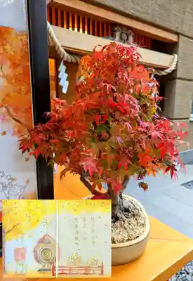 特別御朱印11月『秋奉-銀杏-』
黄色く色付いたイチョウの紅葉のもと催される盛大な宴がモチーフです😊
美しい秋の景色や秋の実りに感謝し、その返礼として歌舞を神に捧げます。
その煌びやかな宴を楽しみつつも、紅葉に美しさと儚さを感じている御祭神の篁公。
こちらの御朱印は10月の特別御朱印『秋奉 -紅葉-』と合わせると、4面見開きの優美な宴が現れます😊
