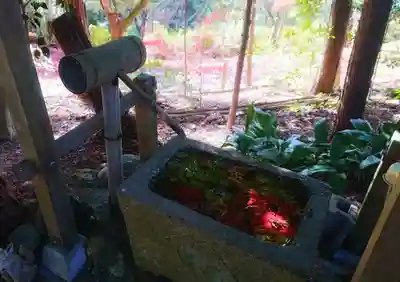 玉野御嶽神社の手水舎