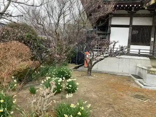 来迎寺（西御門）の{uncategorized: "未分類", other: "その他", undefined: "問題あり", building: "その他建物", grave: "お墓", sacred_gate: "鳥居", guardian: "狛犬", statue: "像", buddha: "仏像", history: "歴史", nature: "自然", garden: "庭園", animal: "動物", pagoda: "塔", temizu: "手水舎", mountain_gate: "山門・神門", sanctuary: "本殿・本堂", subordinate: "末社・摂社", art: "芸術", scenery: "景色", jizo: "地蔵", ema: "絵馬", goshuin: "御朱印", omikuji: "おみくじ", items: "授与品その他", amulet: "お守り", goshuincho: "御朱印帳", eats: "食事", festival: "お祭り", votive_dance: "神楽", shichigosan: "七五三参", wedding: "結婚式", experience: "体験その他", initially: "初詣", around: "周辺", anti_infection: "感染症対策"}