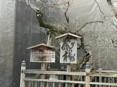 太宰府天満宮の{uncategorized: "未分類", other: "その他", undefined: "問題あり", building: "その他建物", grave: "お墓", sacred_gate: "鳥居", guardian: "狛犬", statue: "像", buddha: "仏像", history: "歴史", nature: "自然", garden: "庭園", animal: "動物", pagoda: "塔", temizu: "手水舎", mountain_gate: "山門・神門", sanctuary: "本殿・本堂", subordinate: "末社・摂社", art: "芸術", scenery: "景色", jizo: "地蔵", ema: "絵馬", goshuin: "御朱印", omikuji: "おみくじ", items: "授与品その他", amulet: "お守り", goshuincho: "御朱印帳", eats: "食事", festival: "お祭り", votive_dance: "神楽", shichigosan: "七五三参", wedding: "結婚式", experience: "体験その他", initially: "初詣", around: "周辺", anti_infection: "感染症対策"}