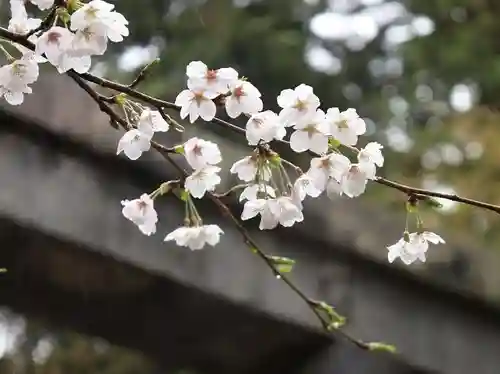 大原野神社(京都府)