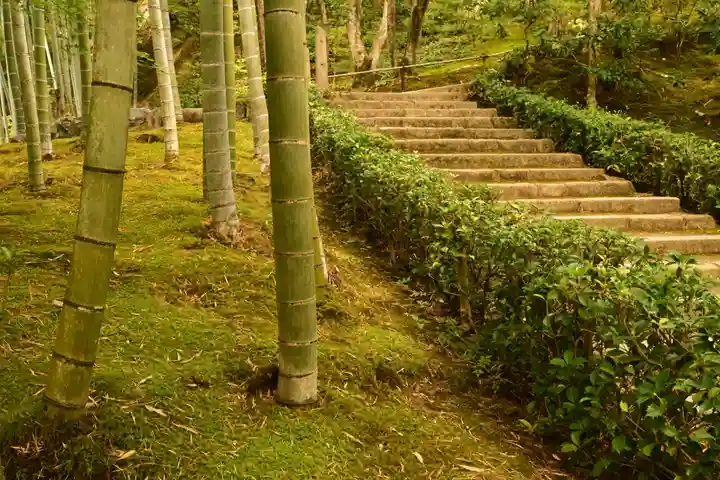 常寂光寺(京都府)
