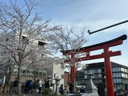 鶴岡八幡宮の鳥居