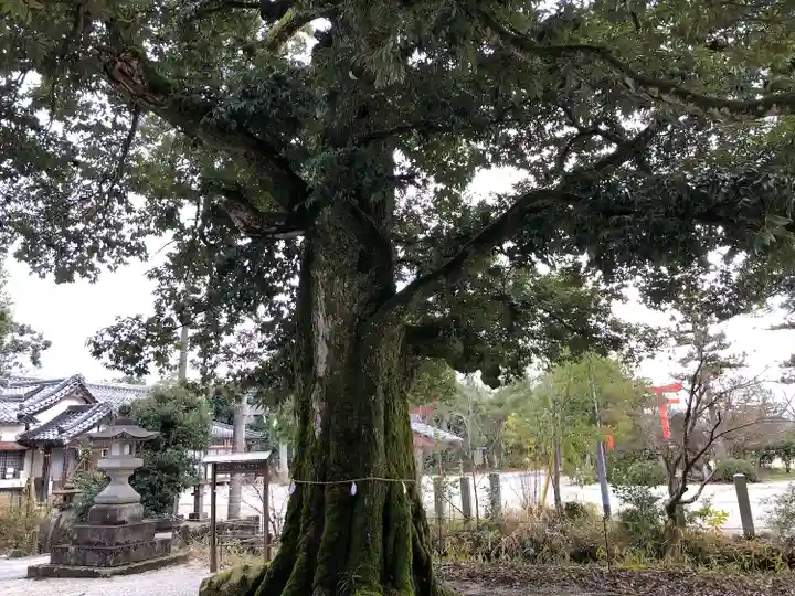 中嶋神社(兵庫県)