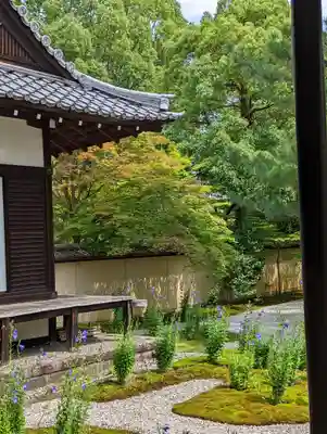 廬山寺(廬山天台講寺)(京都府)