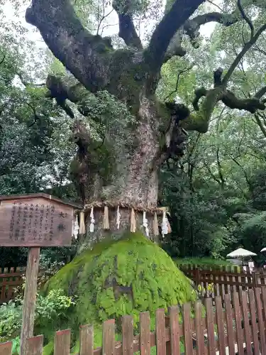 熱田神宮(愛知県)