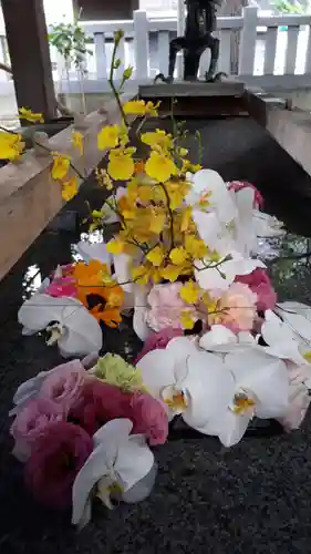 彌彦神社　(伊夜日子神社)の手水舎