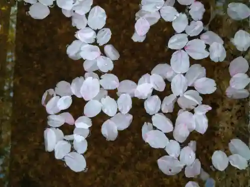 法輪寺の手水舎