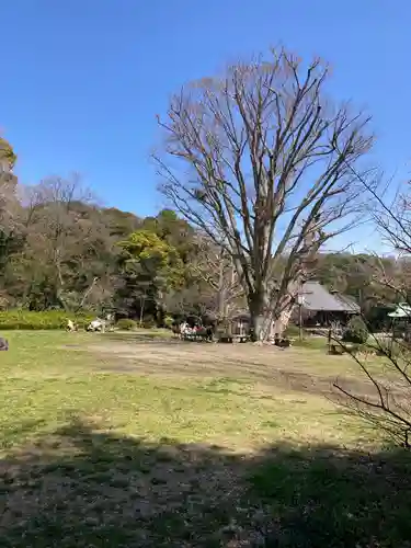 稱名寺（称名寺）(神奈川県)
