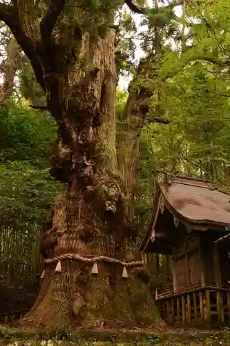 大杵社(大分県)