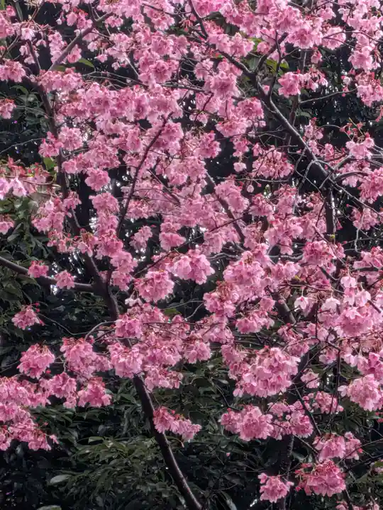 新井天神北野神社(東京都)