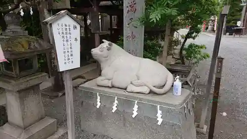 正ノ木稲荷 稲積神社の狛犬