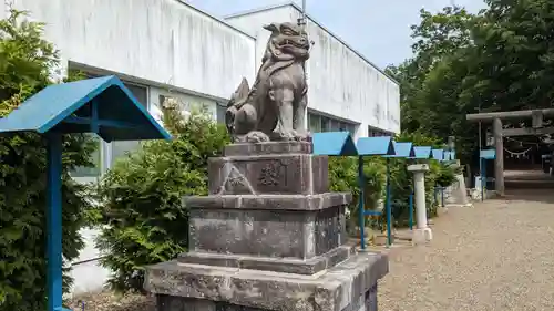 出雲神社の狛犬