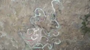 岩洞窟・迦陵頻伽のその他建物