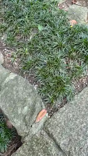 枚岡神社(大阪府)