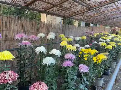 大生郷天満宮(茨城県)