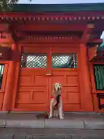 穴八幡宮(東京都)