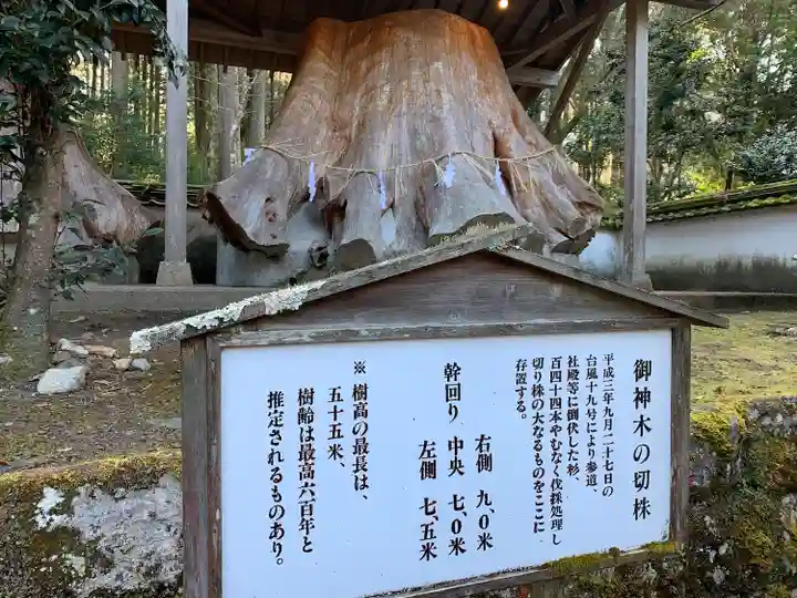 宇奈岐日女神社の自然