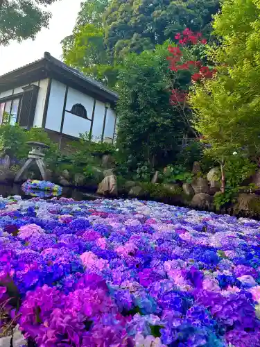 楽法寺（雨引観音）(茨城県)