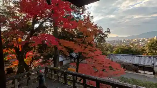 知恩院(京都府)