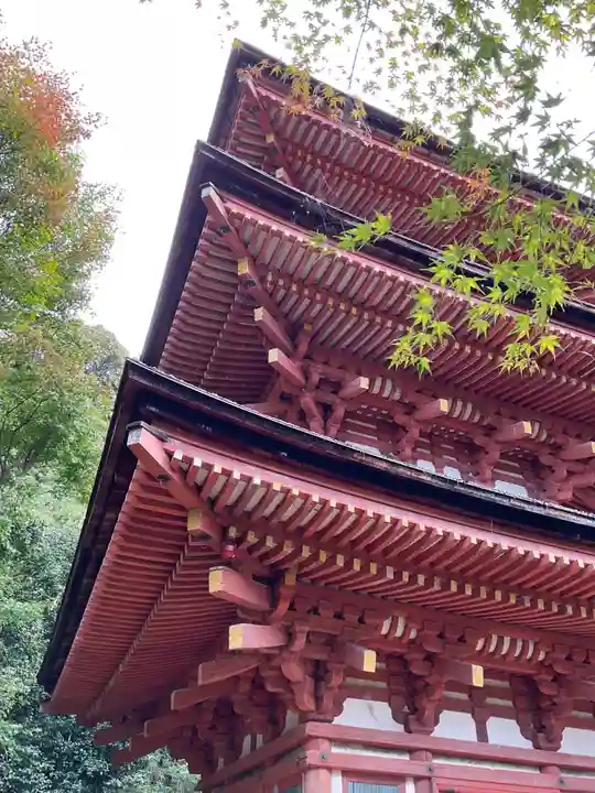 浄瑠璃寺(京都府)