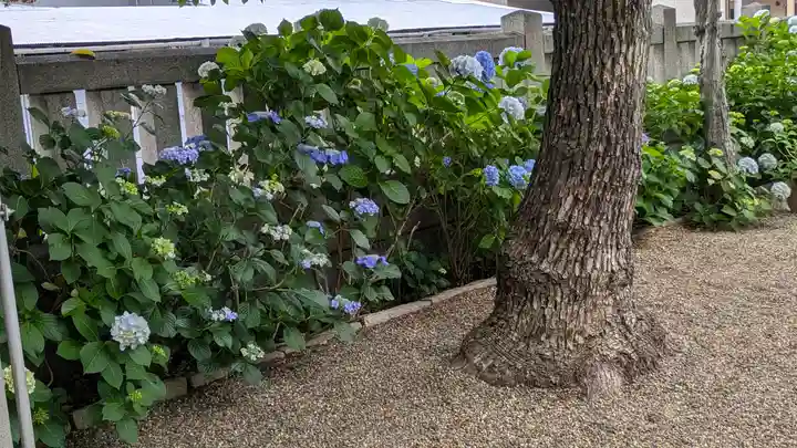 三社神社(大阪府)