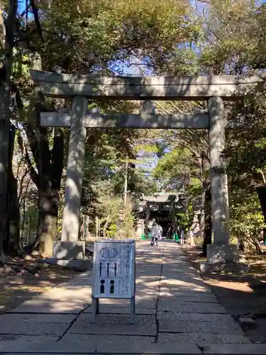 赤坂氷川神社の鳥居