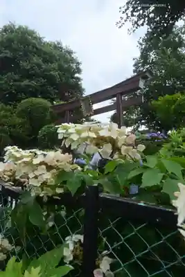 白山神社(東京都)