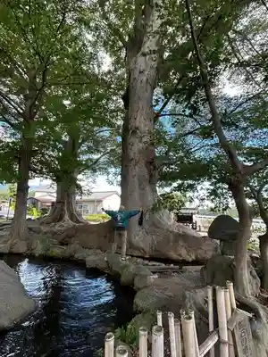 白鳥神社(長野県)