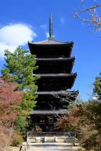 仁和寺の塔