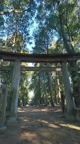 楯縫神社の鳥居