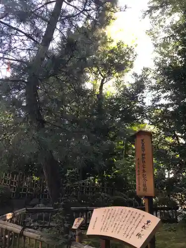 寒川神社の庭園